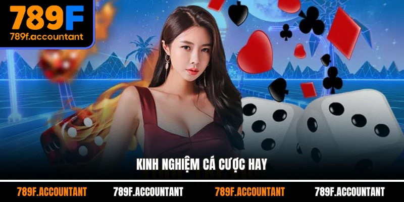 Kinh nghiệm cá cược hay